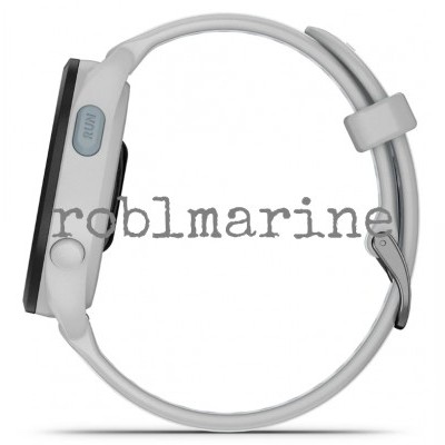 Garmin Forerunner 165 Povoljno