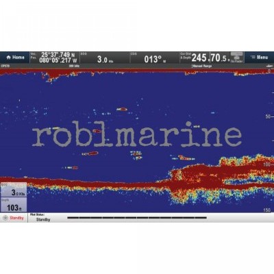 Raymarine CP-370 Digitalni Sonar Modul Povoljno