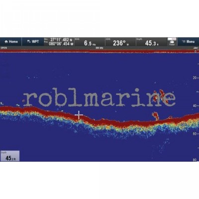 Raymarine CP-370 Digitalni Sonar Modul Povoljno