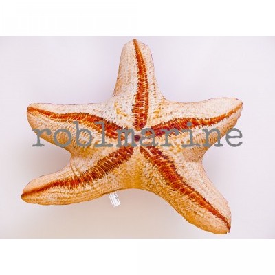 Jastuk - Morska Zvijezda Povoljno