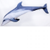Jastuk - Plavi Delfin