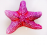 Jastuk - Morska Zvijezda